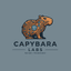 Capybara Labs
