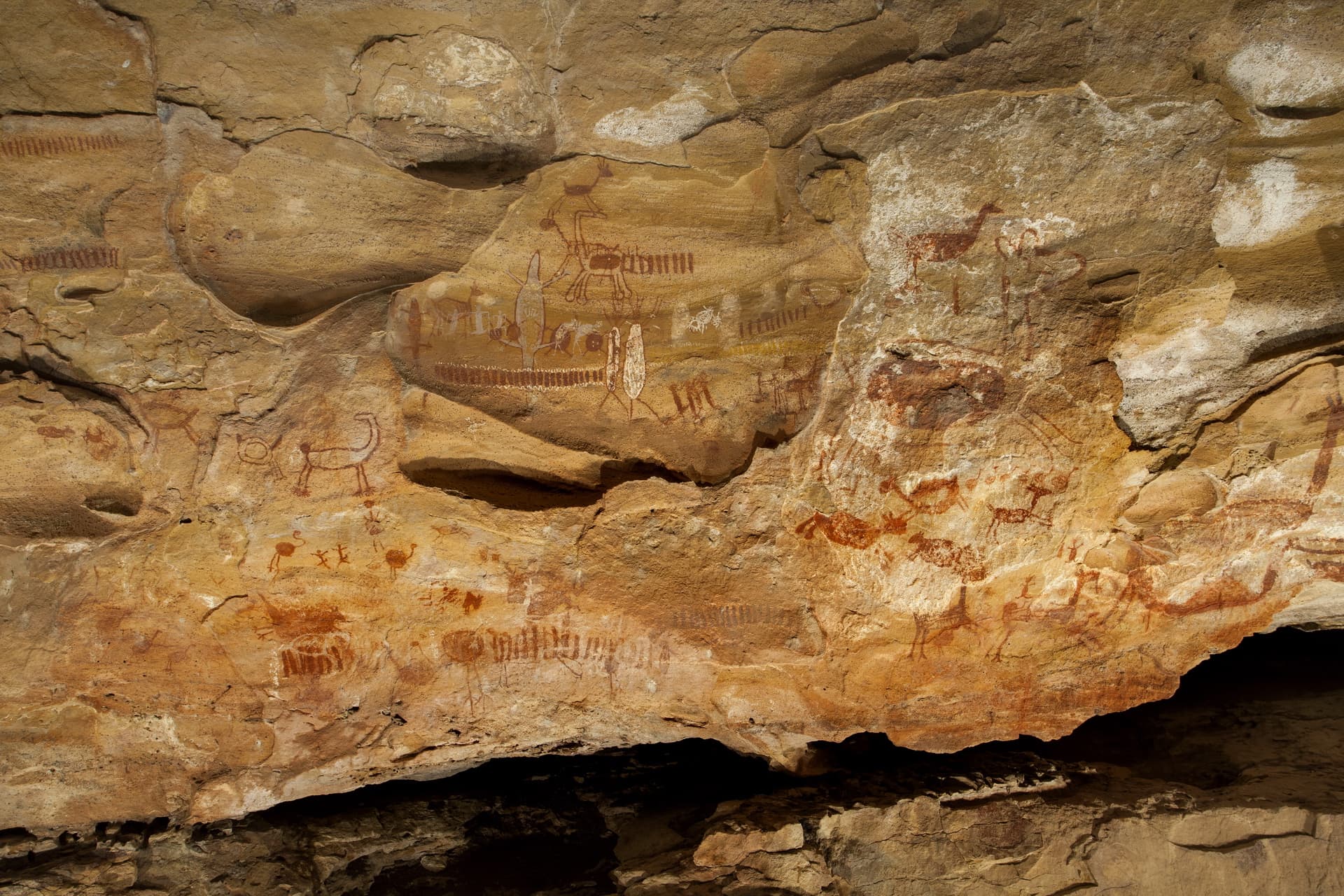 Pintura rupestre - Parque Nacional da Serra da Capivara